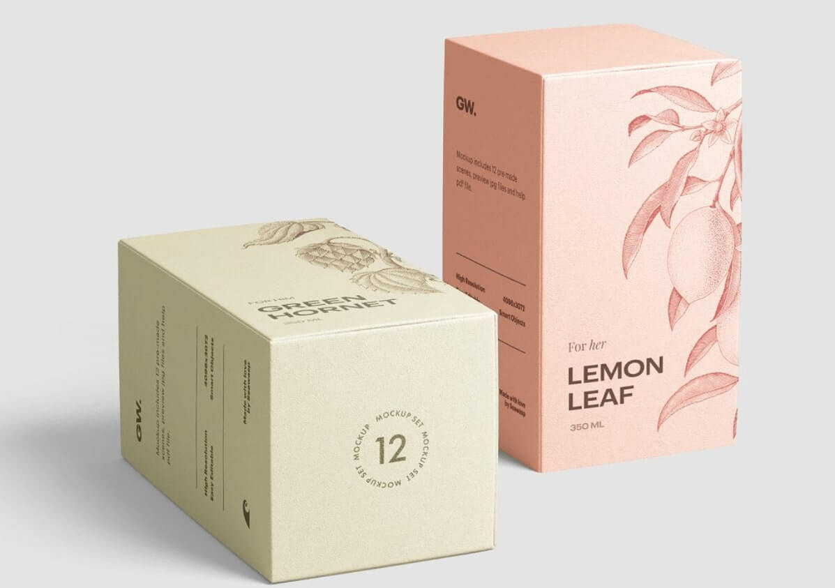 Thiết kế hộp giấy